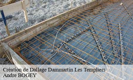 Création de Dallage dammartin-les-templiers-25110 Andre BOGEY