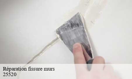 Réparation fissure murs arc-sous-cicon-25520 Andre BOGEY
