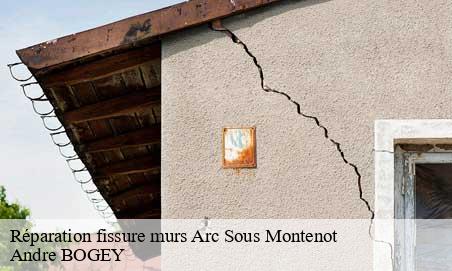 Réparation fissure murs  arc-sous-montenot-25270 Andre BOGEY