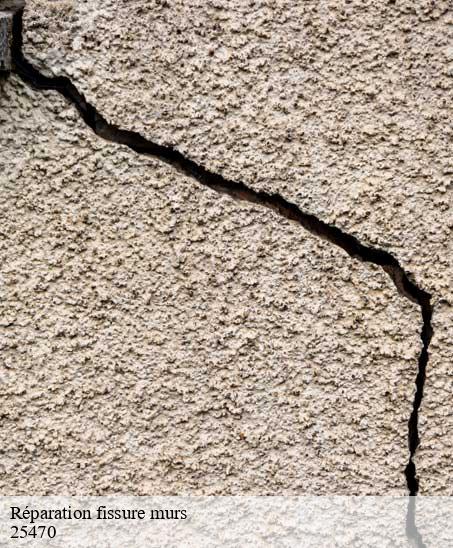 Réparation fissure murs  courtefontaine-25470 Andre BOGEY