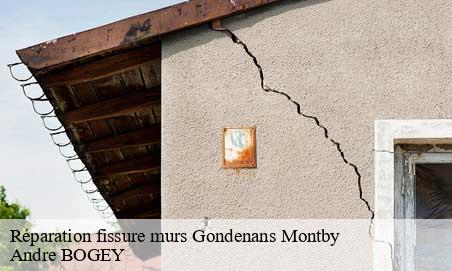 Réparation fissure murs  gondenans-montby-25340 Andre BOGEY