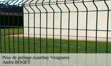 Pose de grillage  amathay-vesigneux-25330 Andre BOGEY