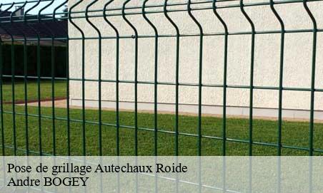 Pose de grillage  autechaux-roide-25150 Andre BOGEY