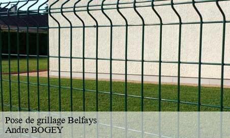 Pose de grillage  belfays-25470 Andre BOGEY