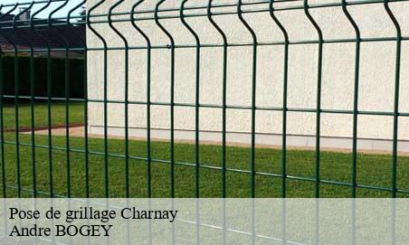 Pose de grillage  charnay-25440 Andre BOGEY