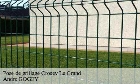 Pose de grillage  crosey-le-grand-25340 Andre BOGEY