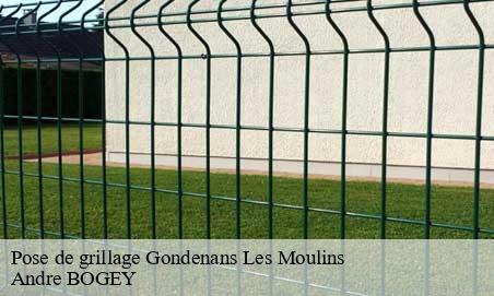 Pose de grillage gondenans-les-moulins-25680 Andre BOGEY