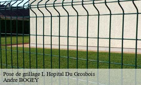 Pose de grillage  l-hopital-du-grosbois-25620 Andre BOGEY