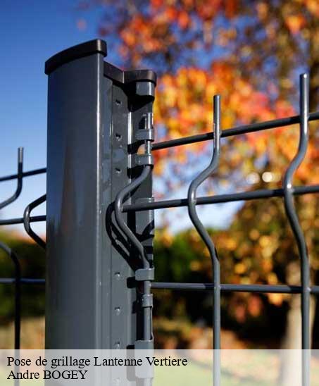 Pose de grillage lantenne-vertiere-25170 Andre BOGEY