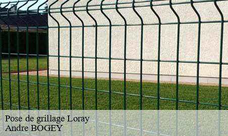 Pose de grillage  loray-25390 Andre BOGEY